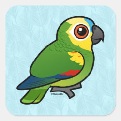 Birdorable-Blue-fronted Parrot Square Sticker