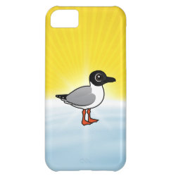 Bonaparte's Gull Case-Mate Barely There iPhone 5C Case