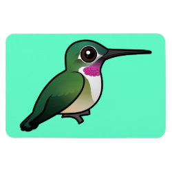 Broad-tailed Hummingbird 4
