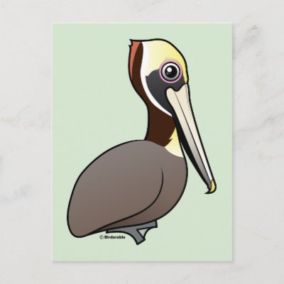 Birdorable Brown Pelican Postcard