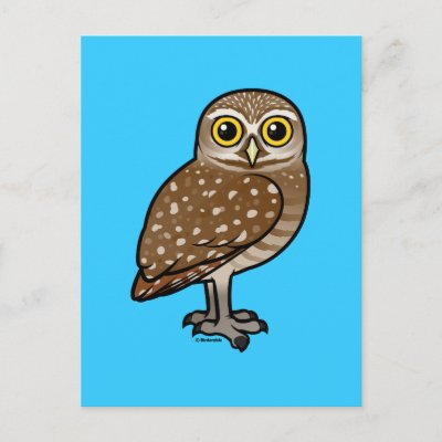Birdorable Burrowing Owl Postcard