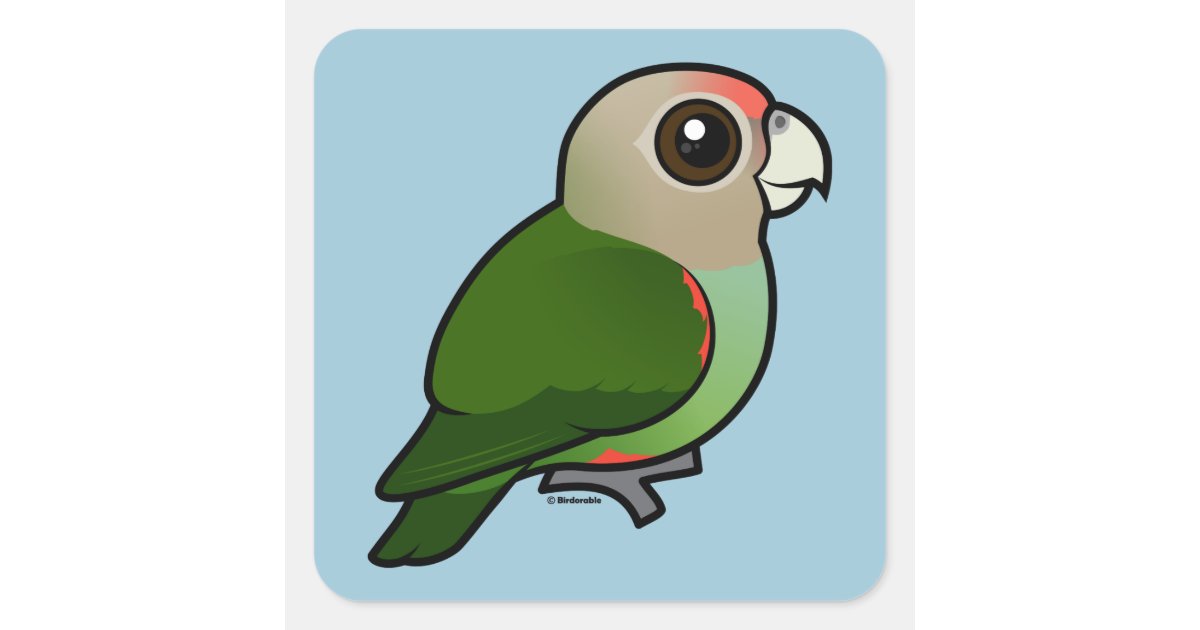 Birdorable Cape Parrot Square Sticker | Zazzle