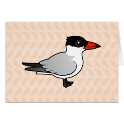 Caspian Tern Greeting Card