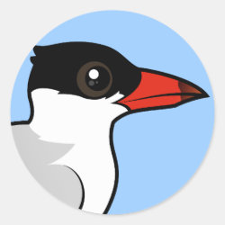 Caspian Tern Round Sticker