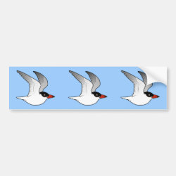 Caspian Tern in flight Bumper Sticker