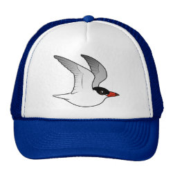 Caspian Tern in flight Trucker Hat