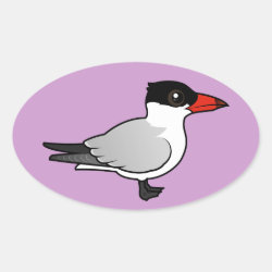 Caspian Tern Oval Sticker