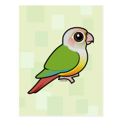 Cinnamon Green-cheeked Conure Postcard