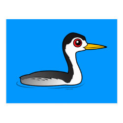 Clark's Grebe Postcard