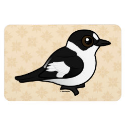 Collared Flycatcher 4