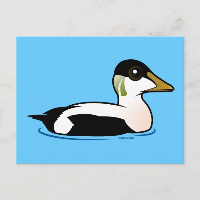 Birdorable Common Eider Postcard (Front)