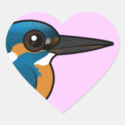 swordheart by t kingfisher