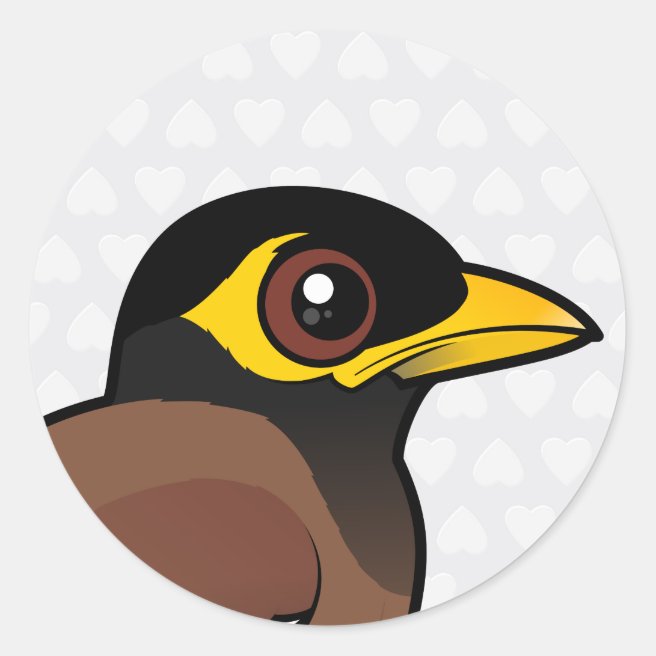 Meet and Learn about our Cute Birdorable Common Myna