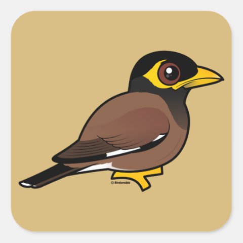 Birdorable Common Myna Square Sticker | Cute Bird Gifts