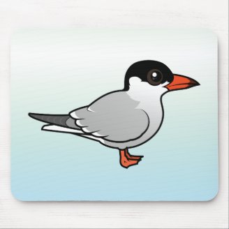 Common Tern Mousepad