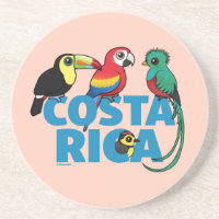 Birdorable Costa Rica Sandstone Drink Coaster