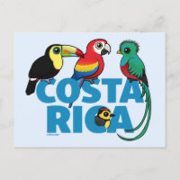 Birdorable Costa Rica 