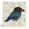Birdorable Dollarbird 3 Ring Binder