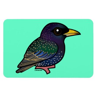 New Cute Birdorable Bird: The European Starling in Starlings, New Birds