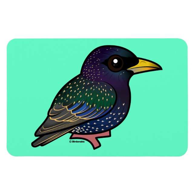 Birdorable European Starling Magnet (Horizontal)