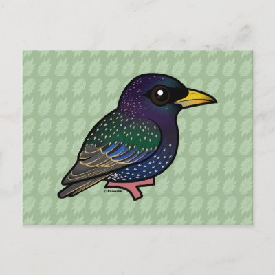 Birdorable European Starling Postcard