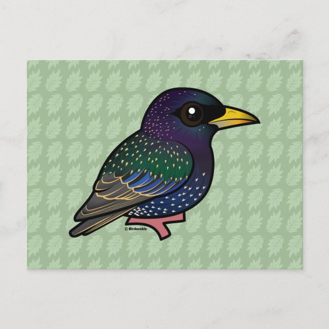 Birdorable European Starling Postcard (Front)