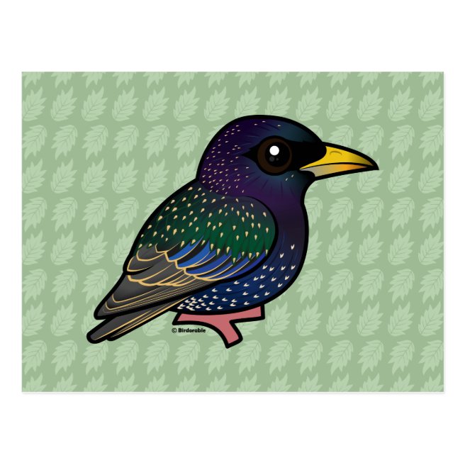 New Cute Birdorable Bird: The European Starling in New Birds, Starlings