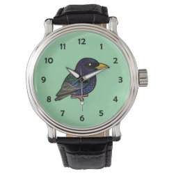 European Starling Men's Vintage Black Leather Strap Watch