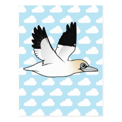 Flying Northern Gannet Postcard