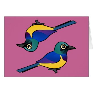 Golden-breasted Starling Greeting Card