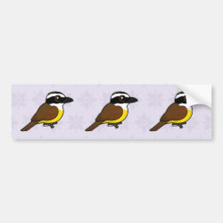 Great Kiskadee Bumper Sticker