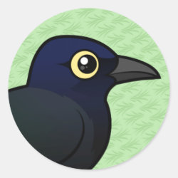 Great-tailed Grackle Round Sticker
