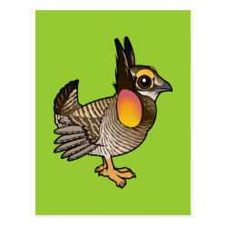 Cute Greater Prairie-Chicken Postcard