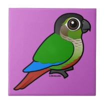 Green-cheeked Conure Small Ceremic Tile (4.25