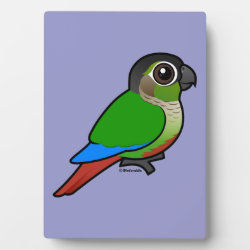 Green-cheeked Conure Photo Plaque 5