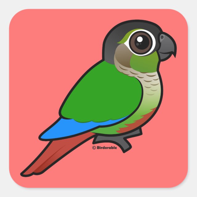 Greencheeked Conure Square Sticker Cute Bird Gifts
