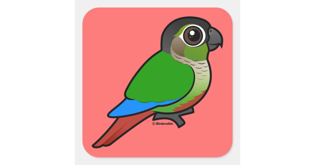 Birdorable Green-cheeked Conure Square Sticker | Zazzle