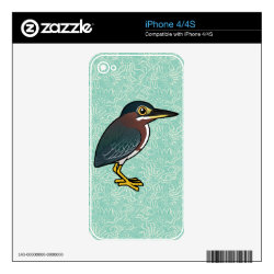 Cute Green Heron iPhone 4/4S Skin