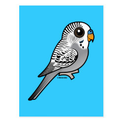 Birdorable Grey Budgie Postcard