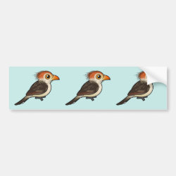 Guira Cuckoo Bumper Sticker