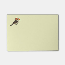 Guira Cuckoo Post-it Notes