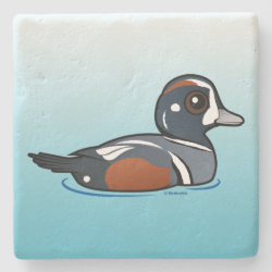Harlequin Duck Limestone Coaster