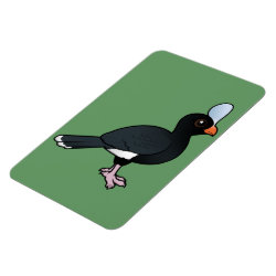 Helmeted Curassow 4