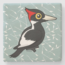 Ivory-billed Woodpecker Limestone Coaster