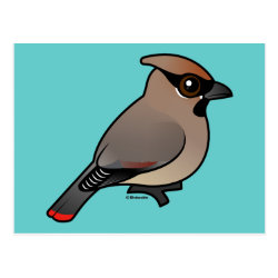 Japanese Waxwing Postcard