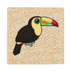 Keel-billed Toucan 4 Inch Wooden Coaster