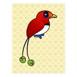 King Bird-of-paradise Postcard