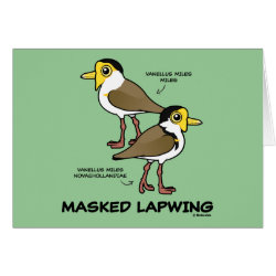 Masked Lapwing subspecies Greeting Card