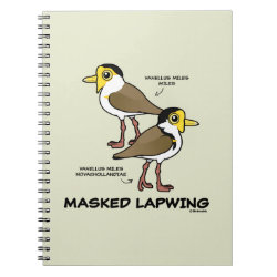 Masked Lapwing subspecies Photo Notebook (6.5