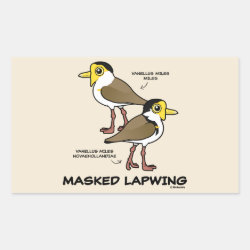 Masked Lapwing subspecies Rectangle Sticker